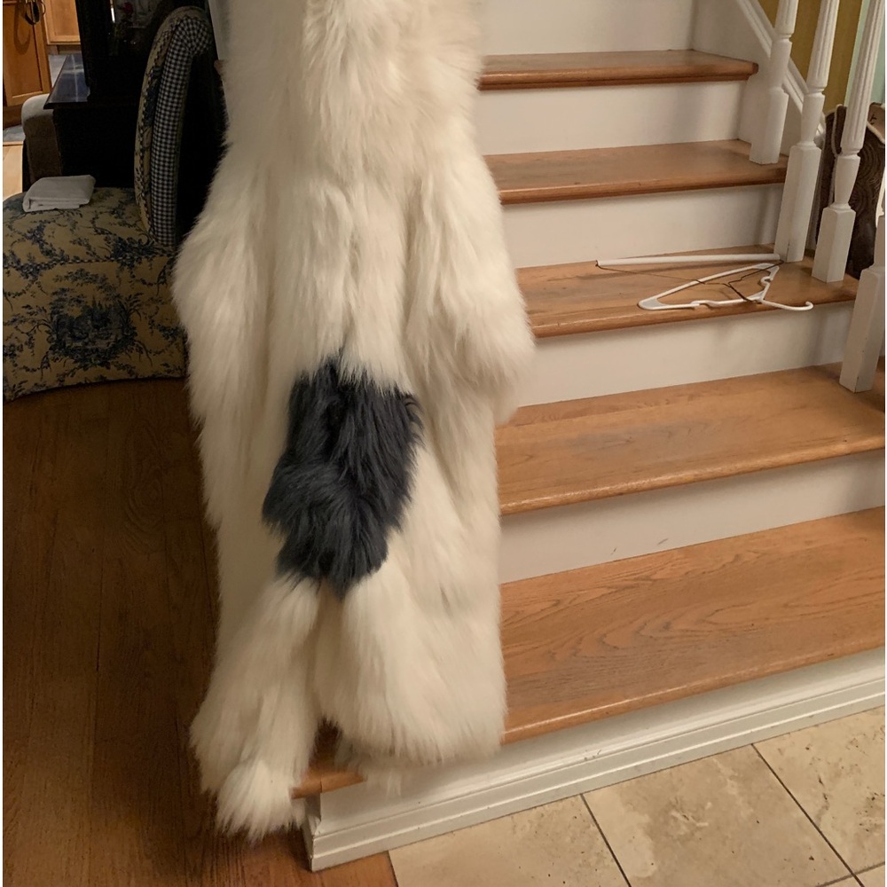 Shaggy Dog Halloween costume